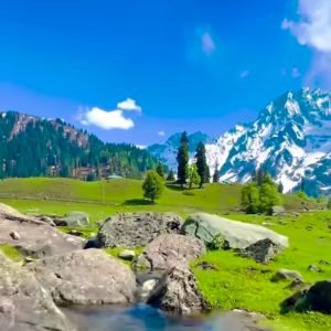 Travel Agency vs Online Booking Kashmir