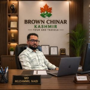 Travel Agency vs Online Booking Kashmir