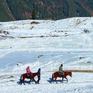 Best Time to Visit Kashmir for Snowfall