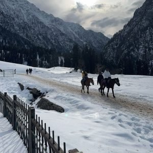 Best Time to Visit Kashmir for Snowfall