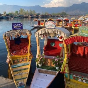 shikara ride in Dal Lake