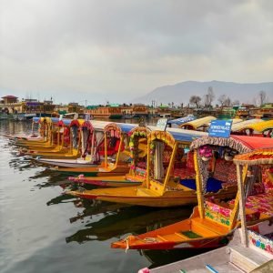 shikara ride in Dal Lake