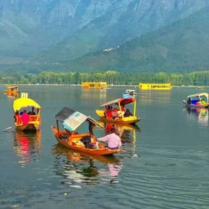 shikara ride in Dal Lake