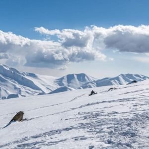 winter activities in Kashmir