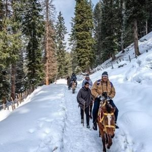 winter activities in Kashmir