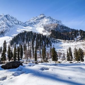 best Kashmir tour packages for snow lovers