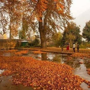 Autumn in Kashmir