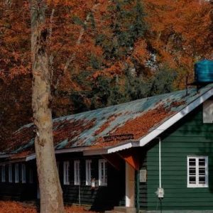 Autumn in Kashmir