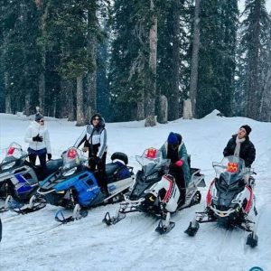 Kashmir winter trip with family