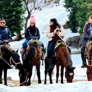 Things to Do in Kashmir with Kids