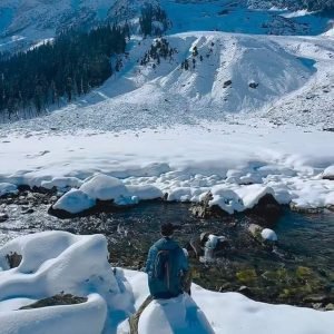 winter Kashmir trip cos