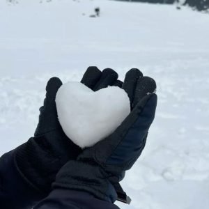 2 person Winter Kashmir tour package price