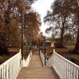 Places to visit in Srinagar in winter