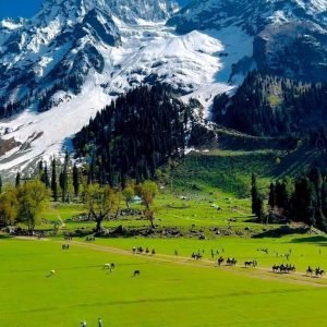 Bagh-e-Gul-e-Dawood Srinagar