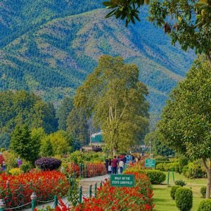 Kashmir vs Himachal for family vacation