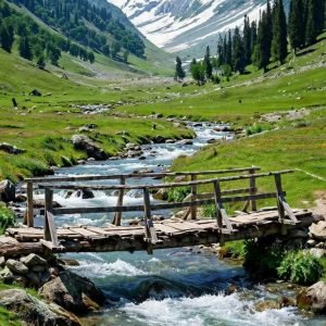 Kashmir vs Himachal for family vacation