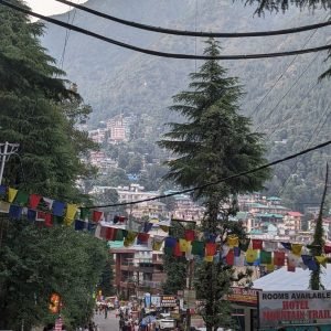 Kashmir vs Himachal for family vacation
