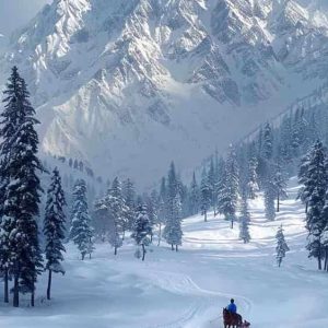 Best Travel Agency in Kashmir – Explore Paradise with Brown Chinar Kashmir Tour & Travels