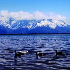 Wular Lake