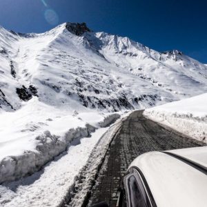 Zojila Pass brown chinar kashmir 1