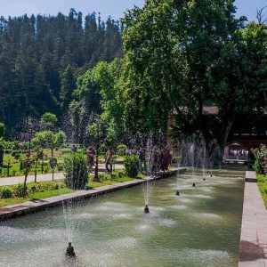 achabal-kashmir_brown_chinar_kashmir