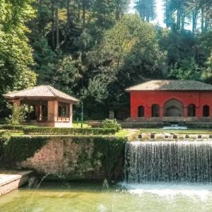 achabal_spring-kashmir_brown_chinar_kashmir