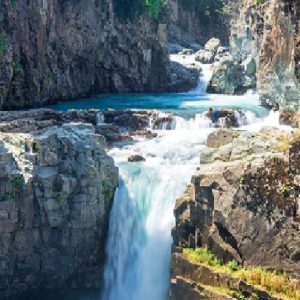 aharbal brownchinarkashmir