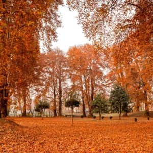 Autumn in Kashmir