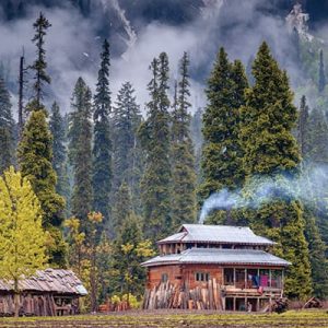 autumn_in-kashmir_brown_chinar_kashmir