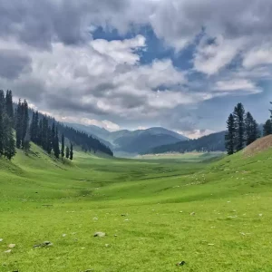 bangus-valley_brown_chinar_kashmir