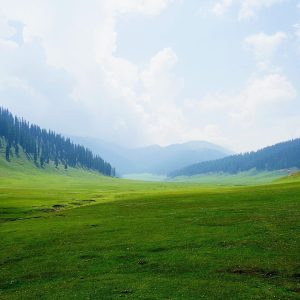 bangus-valley_brown_chinar_kashmir