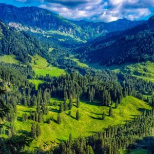 bangus-valley_kashmir_brown_chinar_kashmir