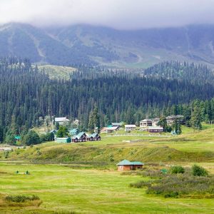 best_time_to-visit-gulmarg_brown_chinar_kashmir