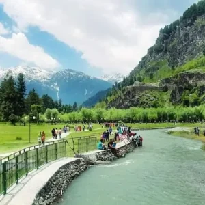 betaab-valley_brown_chinar_kashmir