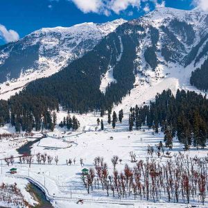 betaab-valley_brown_chinar_kashmir