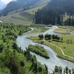 betaab_valley_brown_chinar_kashmir