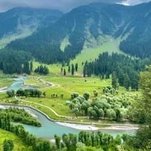 betaab_valley_brown_chinar_kashmir