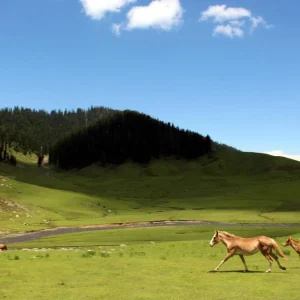 How to Plan Bangus Valley Trip: Complete Guide, Itinerary & Travel Tips