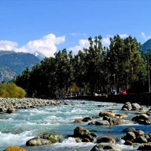 chandanwari_pahalgam_brown_chinar_kashmir