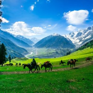 gulmarg-kashmir_brown_chinar_kashmir