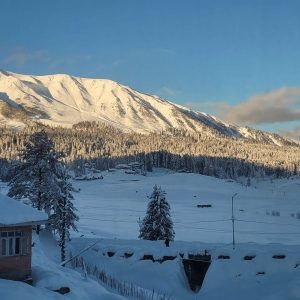 gulmarg-scenary-after-snowfall_brown_chinar_kashmir