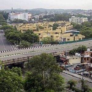 jammu_brown_chinar_kashmir