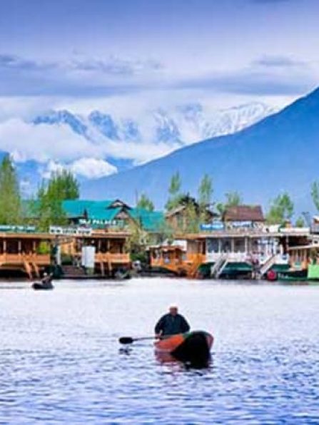 kashmir-tourism_brown_chinar_kashmir