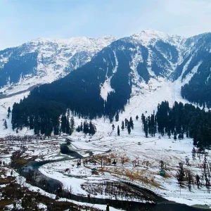 kashmir-tourist-places_brown_chinar_kashmir