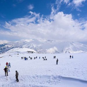 kashmirTourism_brown_chinar_kashmir