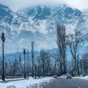 kashmir_offbeat_tour_packages_brown_chinar_kashmir