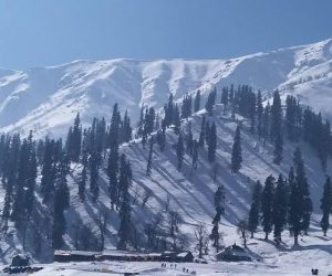 khilanmarg-gulmarg_brown_chinar_kashmir