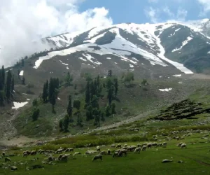 Khilanmarg Gulmarg