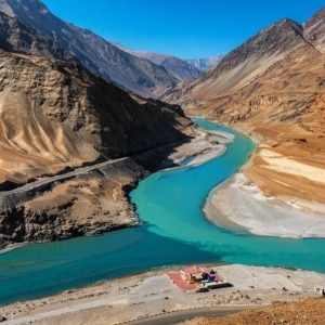 ladakh_brown_chinar_kashmir