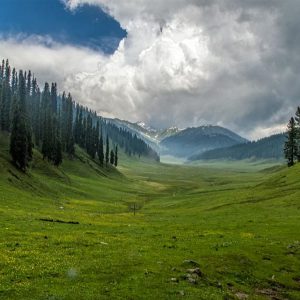 lolab-valley-kashmir_brown_chinar_kashmir